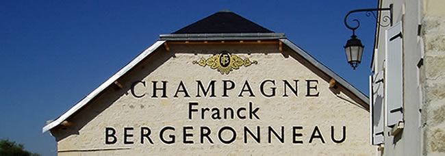 View of the vineyards Franck Bergeronneau